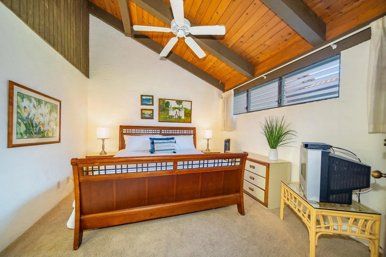 Ferienhaus Villa Papakea E406 Kahana USA